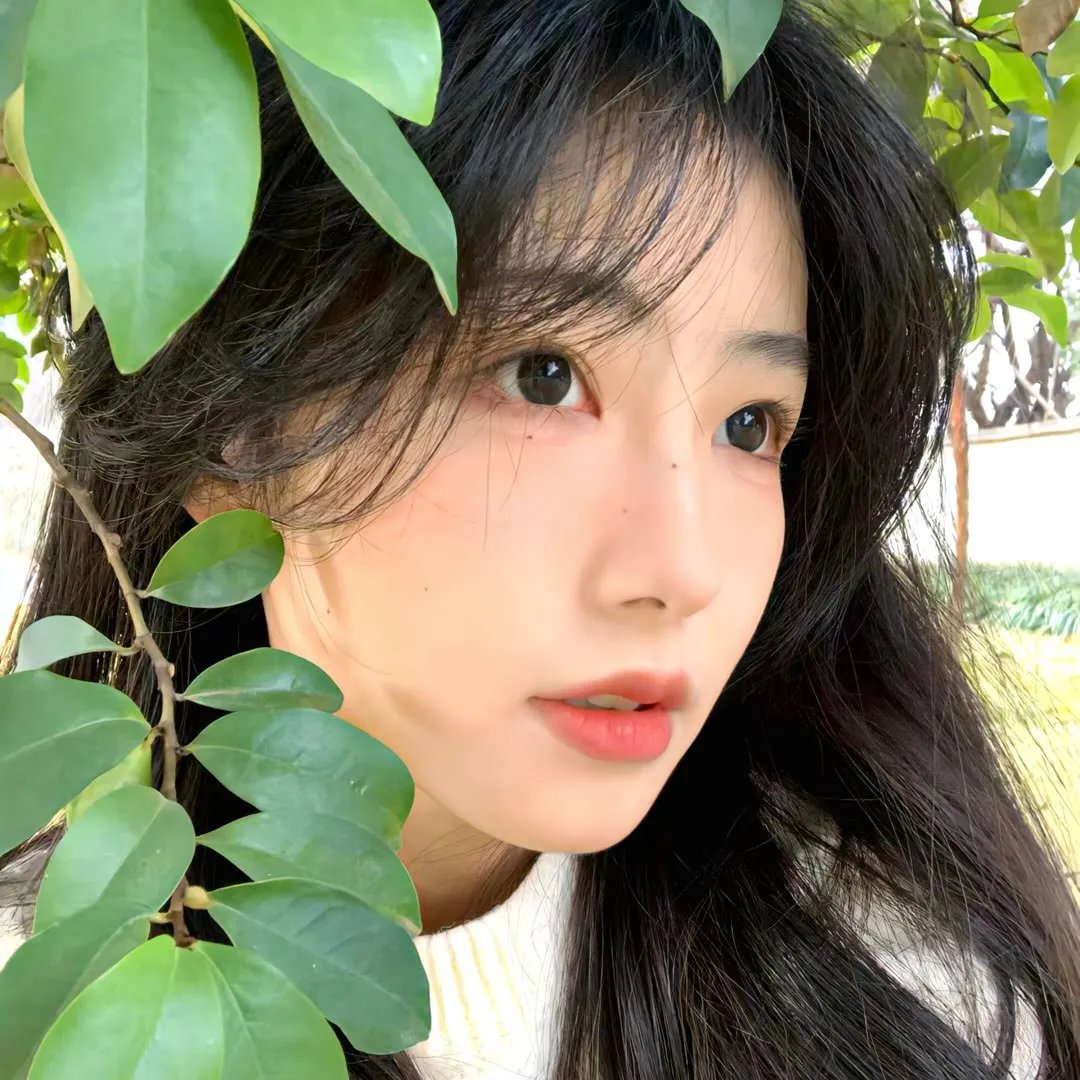 藩篱
